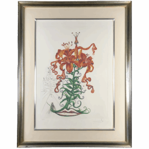 Lilium aurancacium et labra barocantia