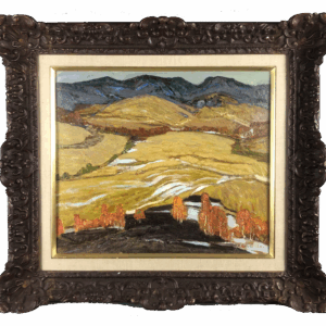 Wild Mountain